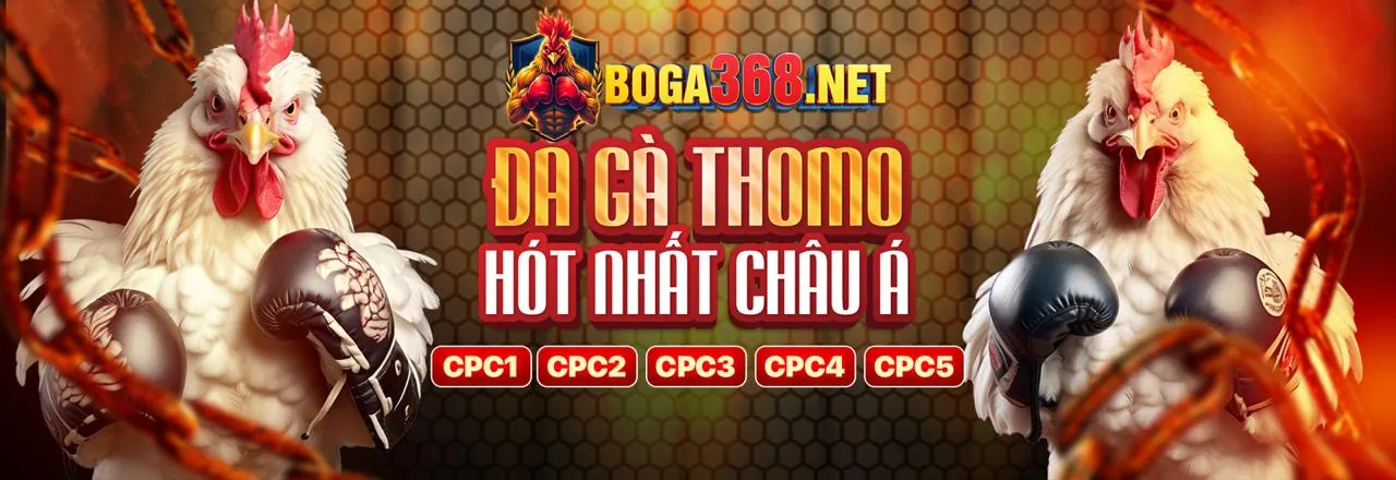 Sân đấu đá gà trực tuyến sôi động tại VX88